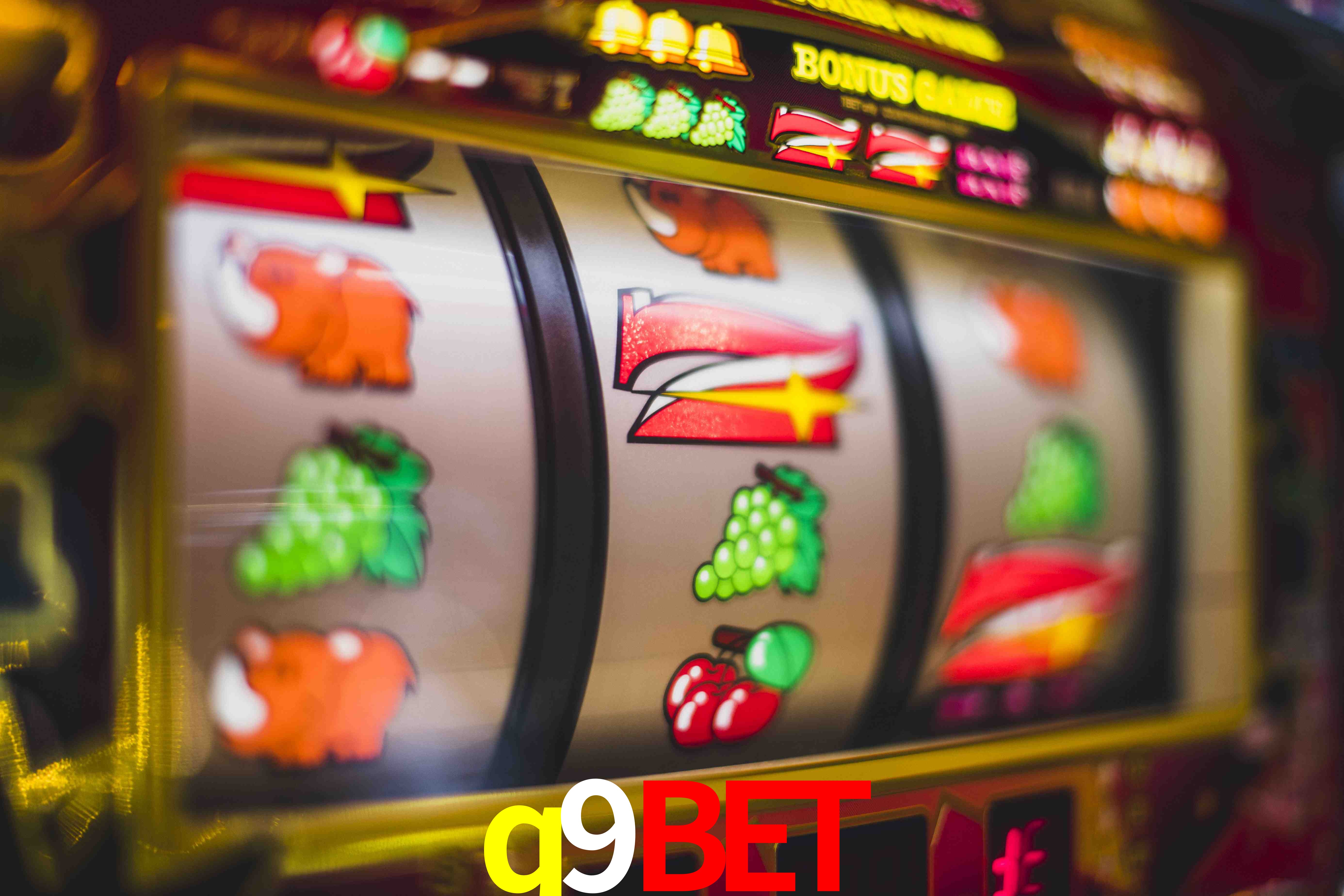 Football Betting q9bet